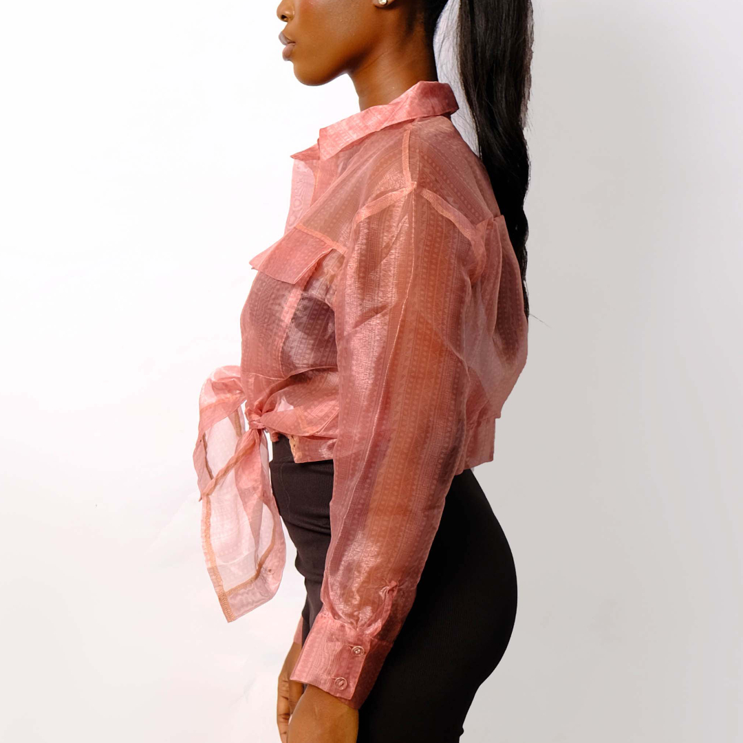 Sheer Organza Button-Up Shirt - Image 3