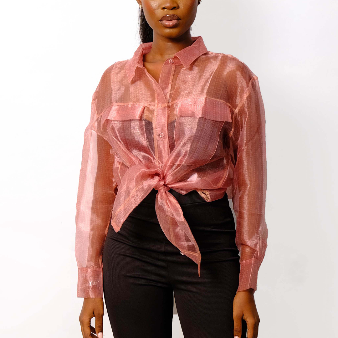 Sheer Organza Button-Up Shirt