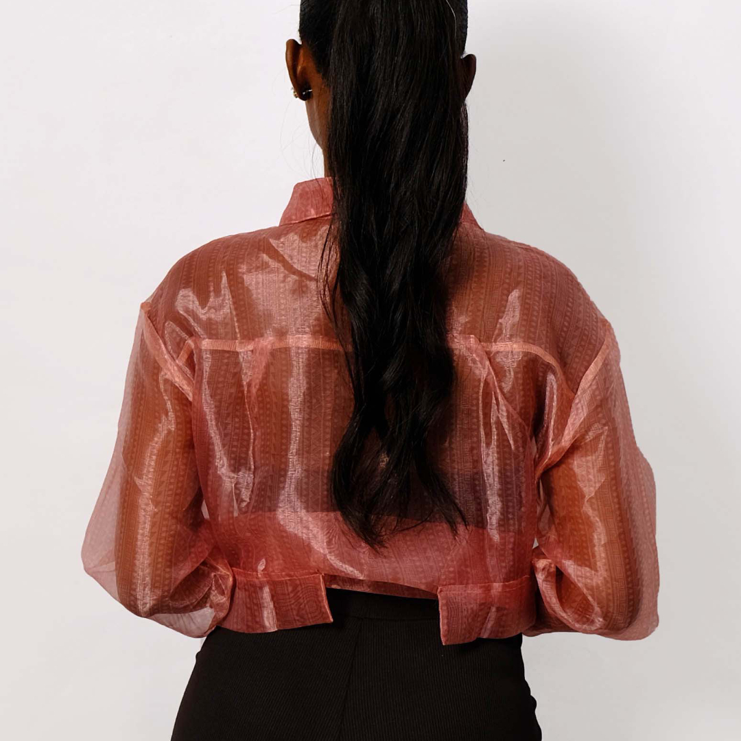 Sheer Organza Button-Up Shirt - Image 2